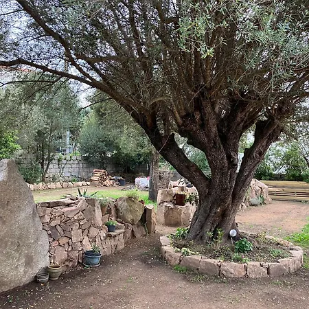 Vila Vue A 300m Du Centre De Porto-vecchio *