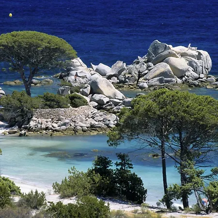 Vue A 5 Minutes A Pied Du Centre De Porto-vecchio 포르토베쉬오