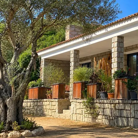 Vue 300 M Du Centre, Parking Prive Porto-Vecchio (Corsica)